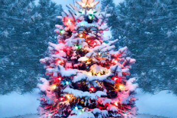 christmas tree